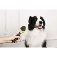 M-PETS CLICK AND GROOM İNCE TELLİ FIRÇA
