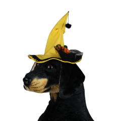 Halloween Cadı Köpek Şapkası – Sarı (Medium)