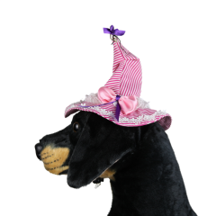 Halloween Cadı Köpek Şapkası – Pembe (Medium)