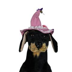Halloween Cadı Köpek Şapkası – Pembe (Small)
