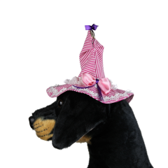 Halloween Cadı Köpek Şapkası – Pembe (Small)