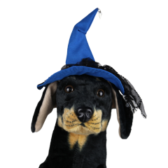 Halloween Cadı Köpek Şapkası – Mavi (Medium)