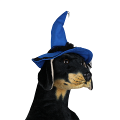 Halloween Cadı Köpek Şapkası – Mavi (Medium)