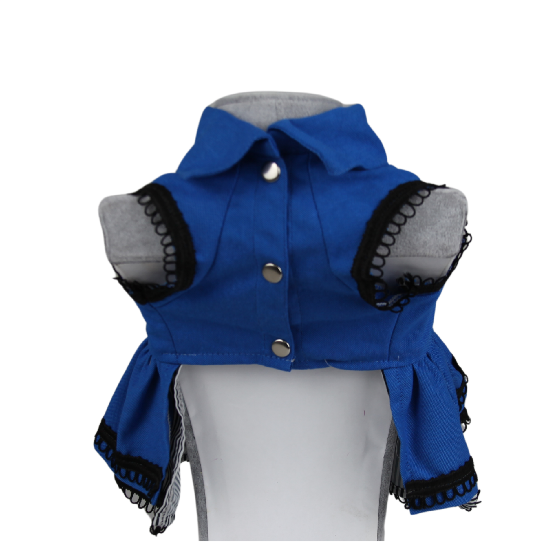 Halloween Cadı Köpek Elbisesi – Mavi (Medium)