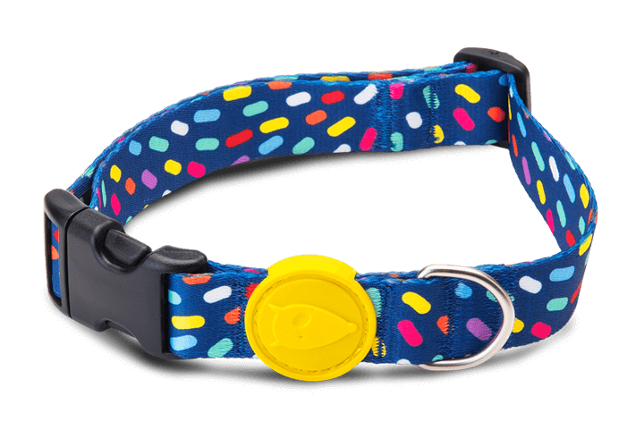 Morso Invaders Köpek Boyun Tasması – Small (S)