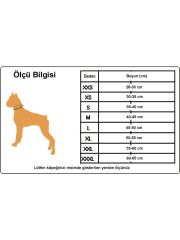 True Love Köpek Boyun Tasması – Yumuşak Naylon Dokumalı, Kırmızı