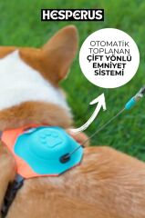 HESPERUS Dog Harness & Leash – S