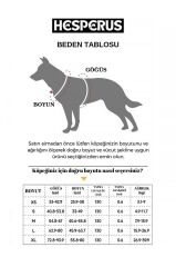 HESPERUS Dog Harness & Leash – S