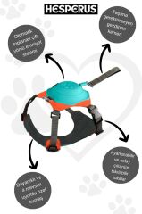 HESPERUS Dog Harness & Leash – S