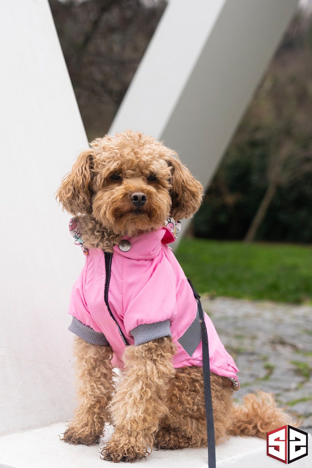 Salya Pembe Köpek Yağmurluğu – Hafif, Koruyucu, Şık Tasarım (XL)