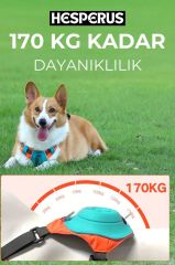 HESPERUS Dog Harness & Leash – M