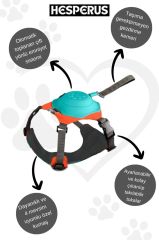 HESPERUS Dog Harness & Leash – M