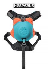 HESPERUS DOG HARNESS & LEASH L