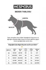 HESPERUS Dog Harness & Leash – L