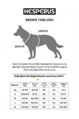 HESPERUS DOG HARNESS & LEASH XL