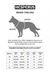 HESPERUS Dog Harness & Leash – XL