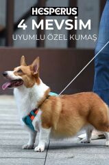 HESPERUS DOG HARNESS & LEASH XL
