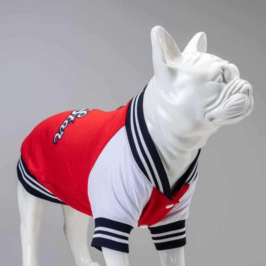 Lindodogs College Allstar Köpek Sweatshirt