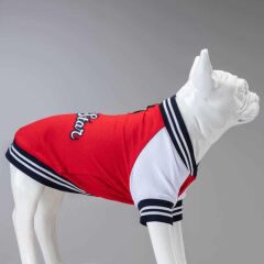 Lindodogs College Allstar Köpek Sweatshirt