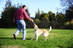 Ultra Duo Tug 2'li Köpek Çekiştirme Topu (Orta Boy)