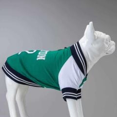 Lindodogs College Boston Köpek Sweatshirt
