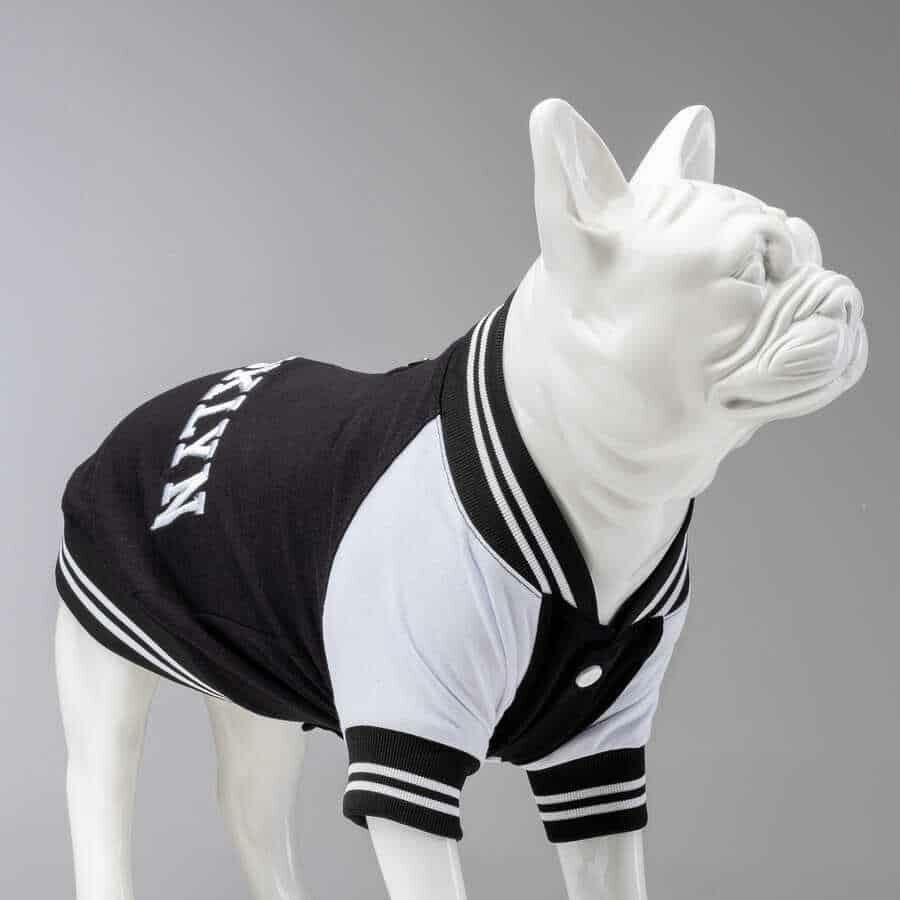 College Brooklyn Küçük Orta ve Büyük Irk Köpek Sweatshirt 8