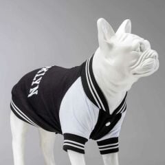 College Brooklyn Küçük Orta ve Büyük Irk Köpek Sweatshirt 8