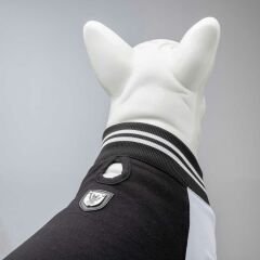 College Brooklyn Küçük Orta ve Büyük Irk Köpek Sweatshirt 8