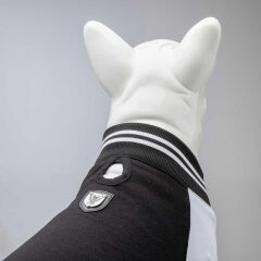 Lindodogs College Brooklyn Köpek Sweatshirt