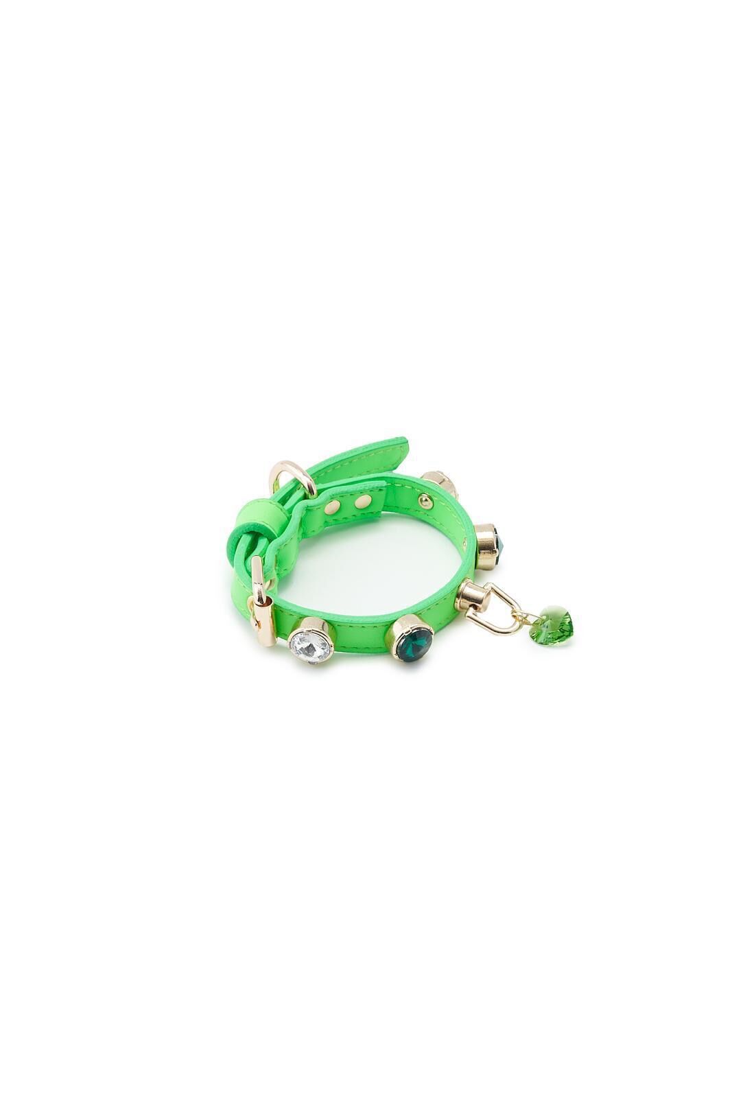 SWAROVSKİ TAŞLI NEON YEŞİL BOYUN TASMASI MEDIUM