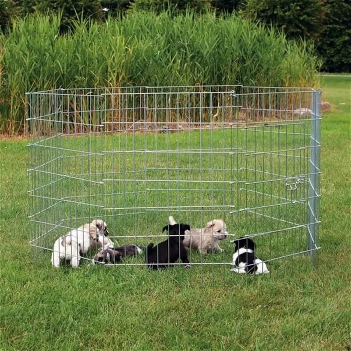 Yavru Ve Küçük Köpek Açık Hava Oyun Alanı