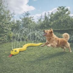 M-PETS SPLASH YILAN ŞEKİLLİ SU OYUN FİSKİYESİ