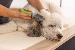 Moser Esnek Çift Taraflı Kedi ve Köpek Fırçası