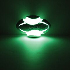 Max Glow Fumble Fetch Gece Parlayan Köpek Oyun Topu