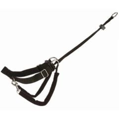 Trixie Köpek Yürüme Eğitim Tasması Xlarge 55-80Cm 25mm