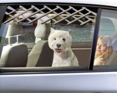 Karlie Araç Cam Aparatı – Köpek Koruma Izgarası (60 cm) | Araç İçi Güvenlik Aksesuarı