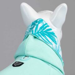 Mint Green, Orta ve Büyük Irk Köpek Sweatshirt