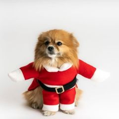 MAX DESING NOEL BABA KOSTÜM LARGE