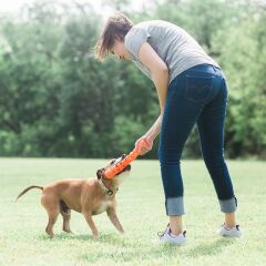 Air Fetch Stick Köpek Oyuncağı (Büyük Boy)