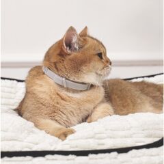 M-PETS KEEP CALM CALMİNG SAKİNLEŞTİCİ KEDİ TASMASI GRİ