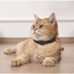 M-PETS KEEP CALM CALMİNG SAKİNLEŞTİCİ KEDİ TASMASI 4LÜ MİX COLOR