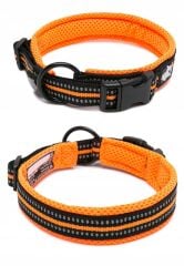 Truelove Active Yansıtıcı Köpek Boyun Tasması – Turuncu, 3XL
