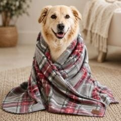 LEPUS KEDİ KÖPEK BATTANİYESİ KIRMIZI