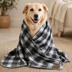 LEPUS KEDİ KÖPEK BATTANİYESİ GRİ
