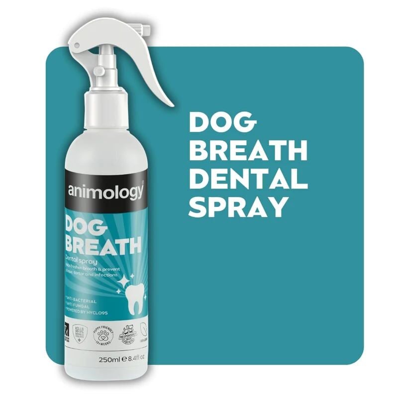 Animology Dog Breath Dental Spray Köpek Nefes ve Diş Bakım Spreyi 250ml