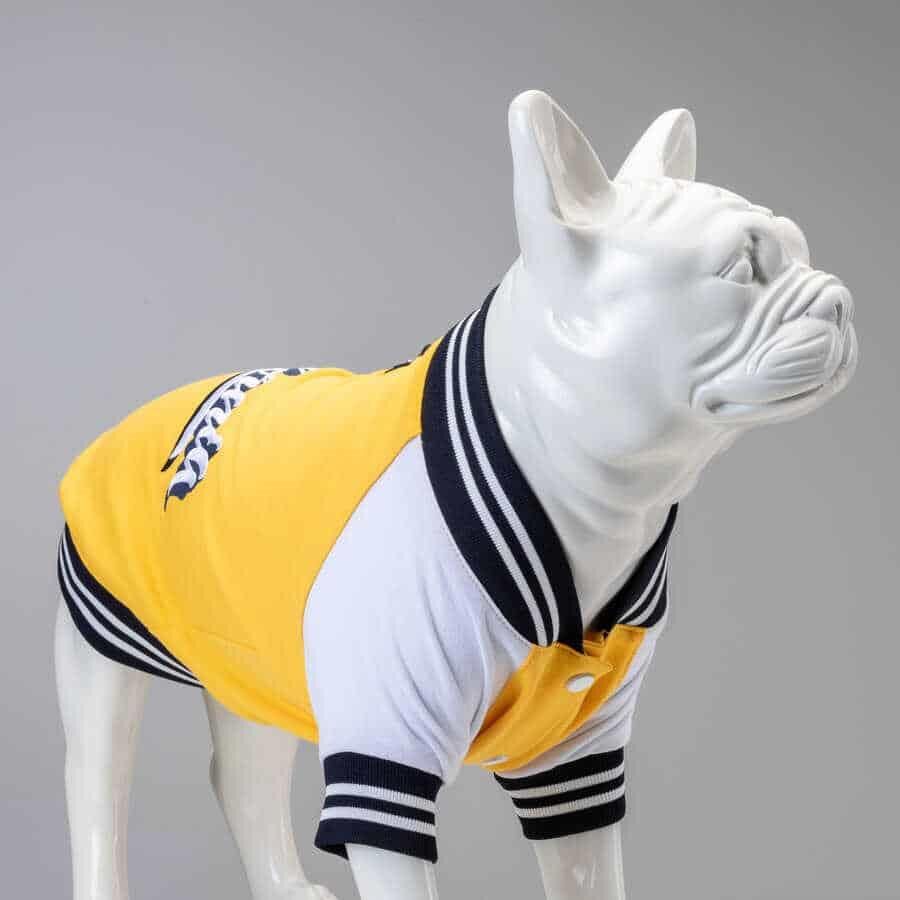 Lindodogs College California Köpek Sweatshirt