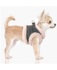 ELEONORE Harnais Köpek Göğüs Tasması – Rose, 44 cm