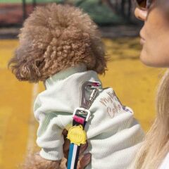 Lindodogs My Raisin Cake Köpek T-Shirt Body