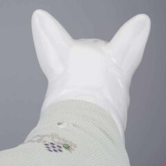 Lindodogs My Raisin Cake Köpek T-Shirt Body