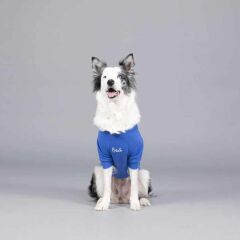 Lindodogs On The Clouds Köpek T-Shirt Body